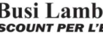 logoBUSI.jpg