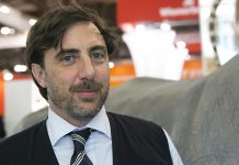 Paolo Cerù, Gruppo Poron