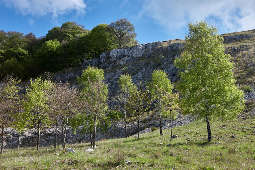 La Cava Colle Pedrino