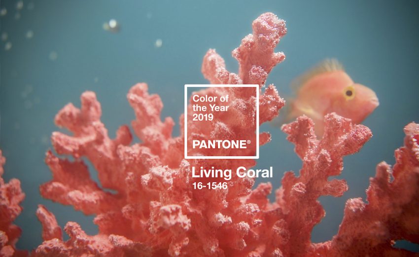 living-coral-pantone-2019