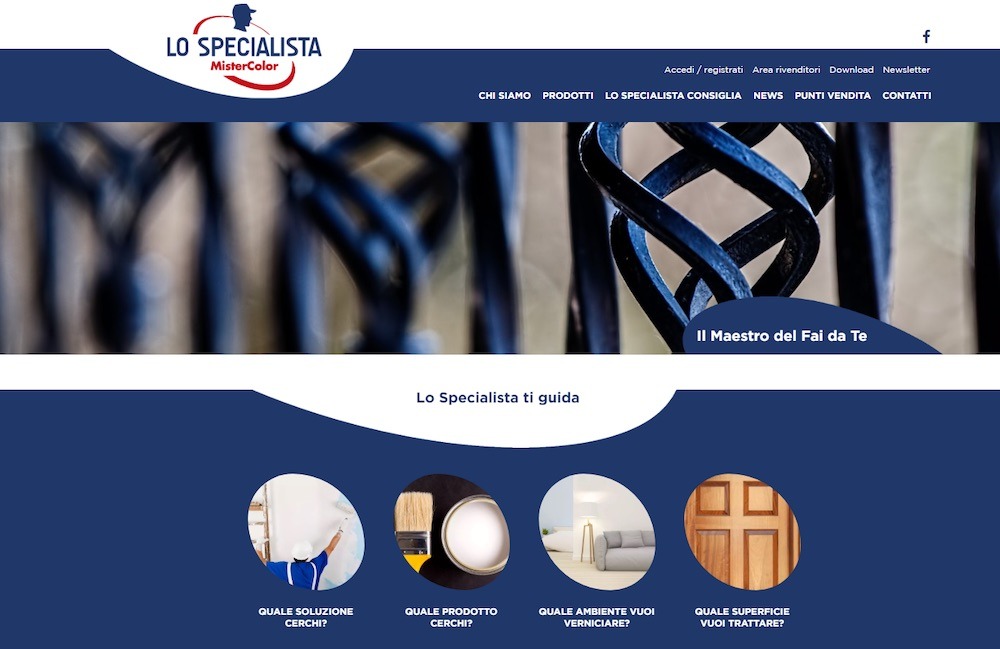 Specialista-MisterColor