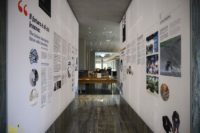 Interno del Museo di Iris Ceramica