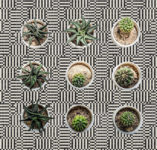 compasso-oro-friul mosaic-tessere