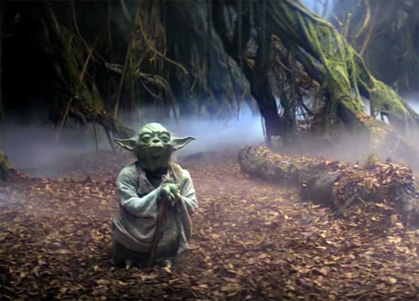 Il venerabile Yoda