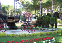 Immagine di una passata edizione di Cervia Città-Giardino