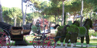 Immagine di una passata edizione di Cervia Città-Giardino