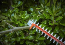 tagliasiepi-black-decker