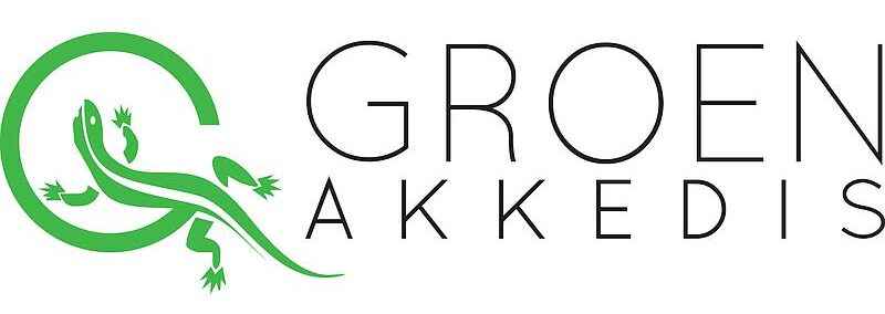 groen-akkedis