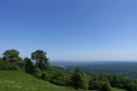 Alberi e monti