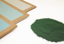 pittura-spirulina-padiglione-italia-expo-dubai