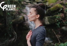 isolmant-green