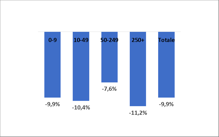 Variazione % dei Ricavi nel 2020 rispetto al 2019. Dati per classi di dipendenti