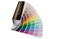 Colorificio-Paulin-Mazzetta-Arredo-Interni