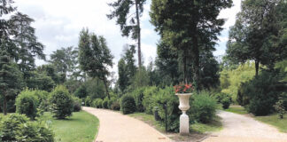 mapei-color-paving