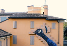 marazzi-Fontcuberta