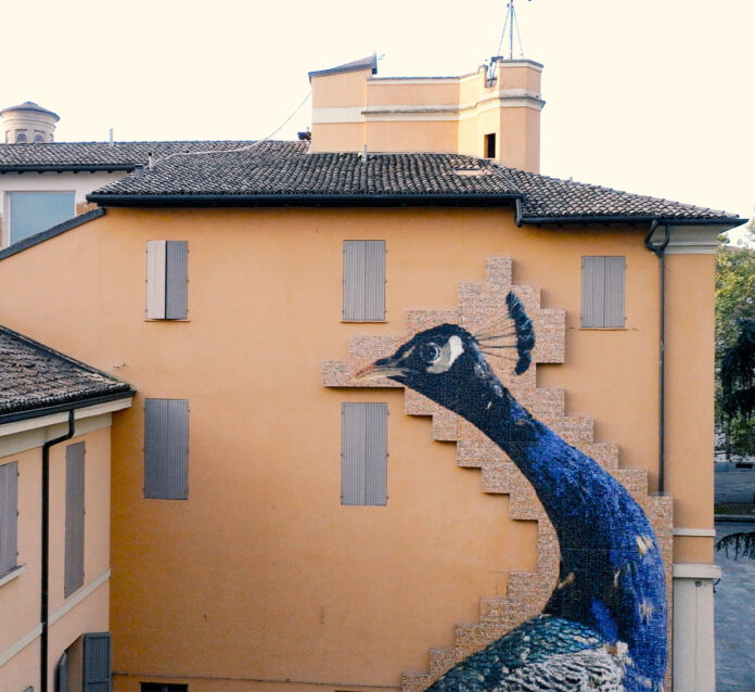 marazzi-Fontcuberta