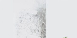 Knauf-Fine-Thermal-Board