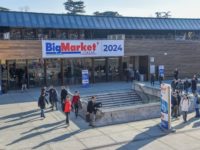 BigMarket