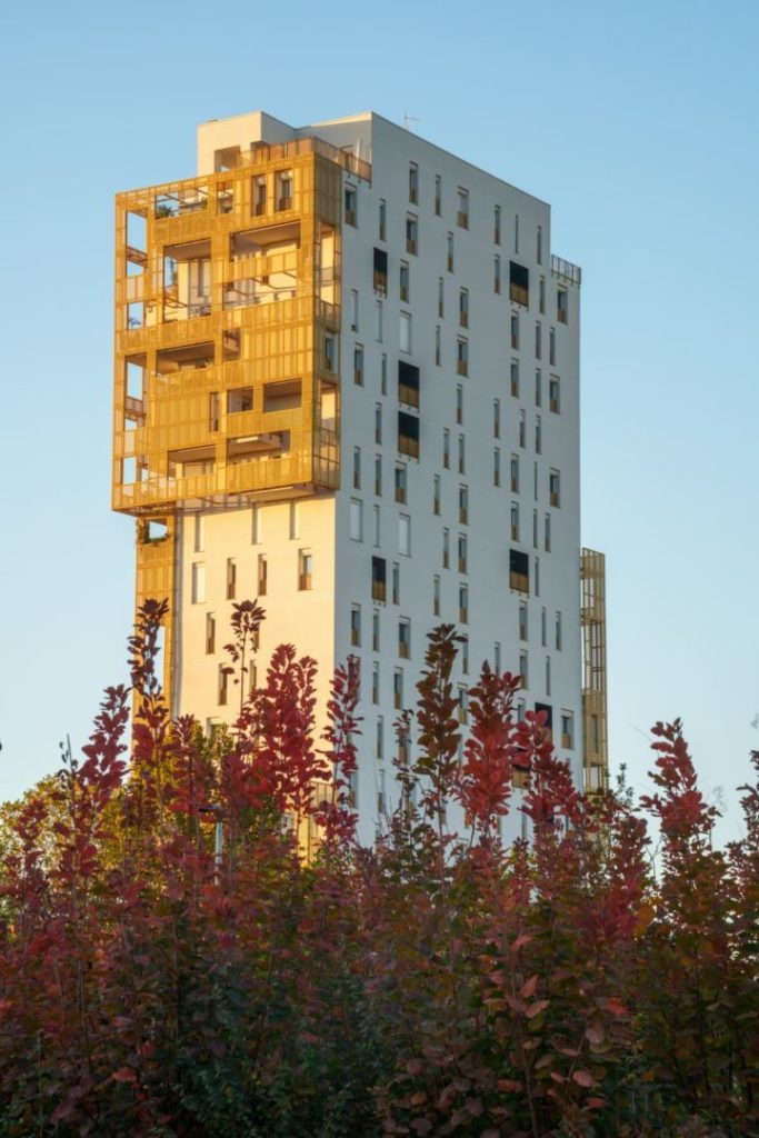 Rebuild-ard-raccanello