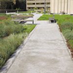 Coperture green