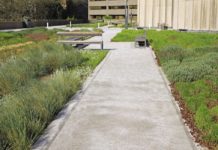 Coperture green
