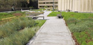 Coperture green