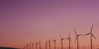 Energia, Italia stretta tra Usa e Cina Pale eoliche