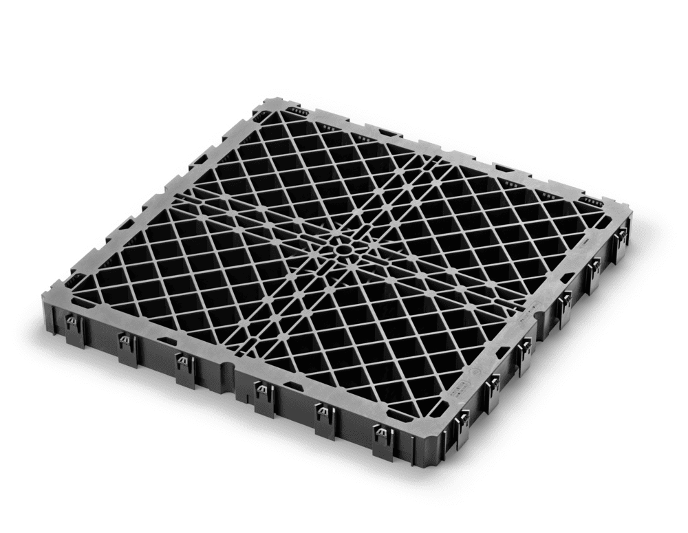 grigliaplus-eterno-ivica